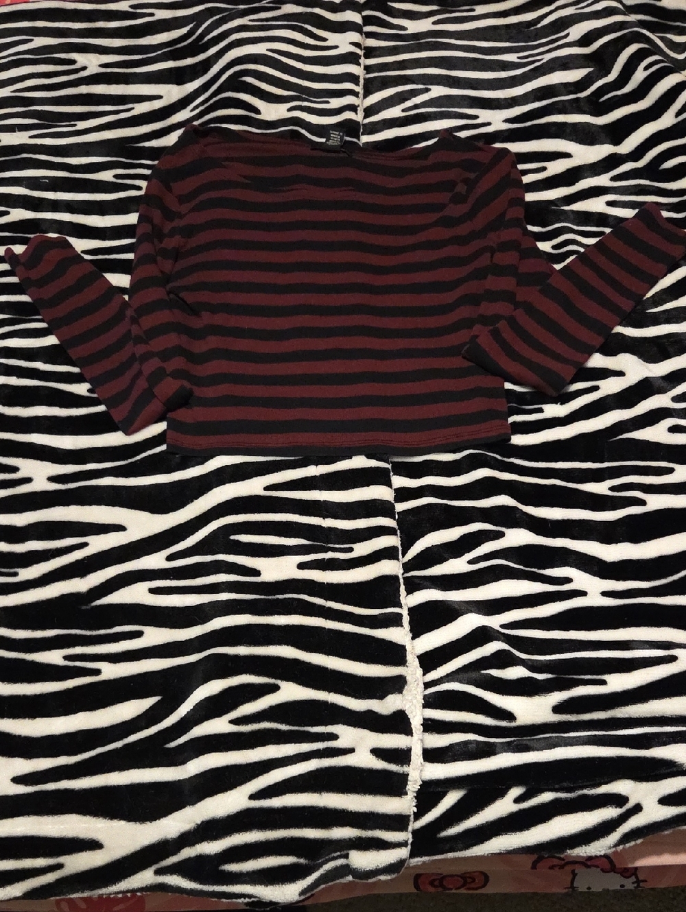 Forever 21 Long Sleeve Crop Top